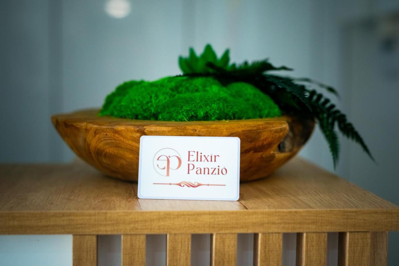 Elixir Panzio Bed & Breakfast Nyírbátor Bagian luar foto